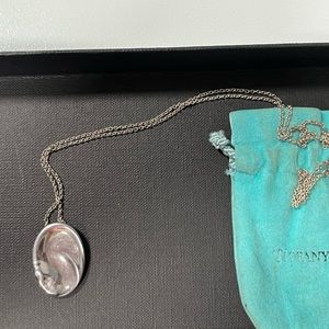 Silver Tiffany’s long chain pendant